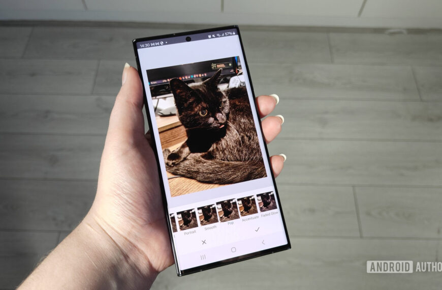 Snapseed sprouts its first new growth in years, as major update blooms