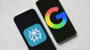 I tried replacing Google Search with Perplexity. It…
