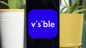 I love Visible, but I wish I knew…