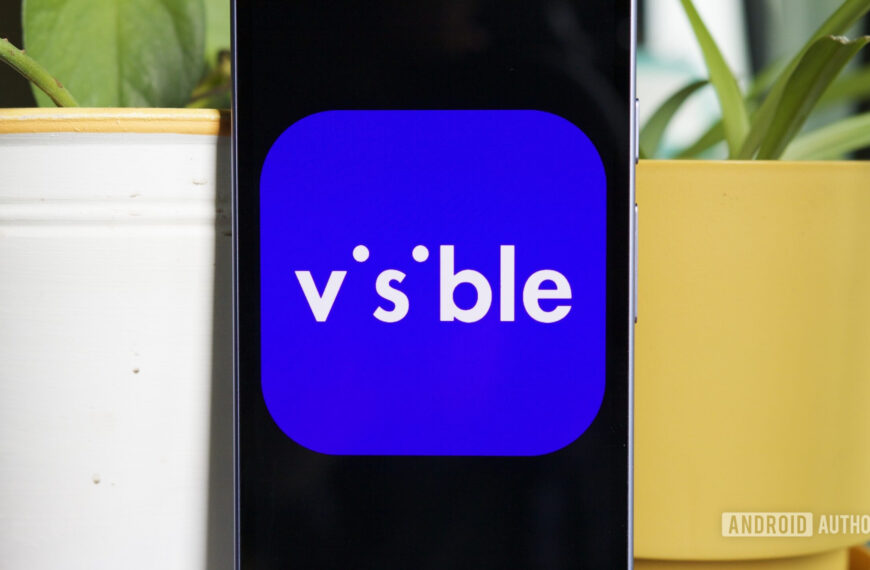 I love Visible, but I wish I knew one thing before I joined