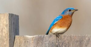 Let’s hope one iPhone 17 Pro camera rumor&hellip;