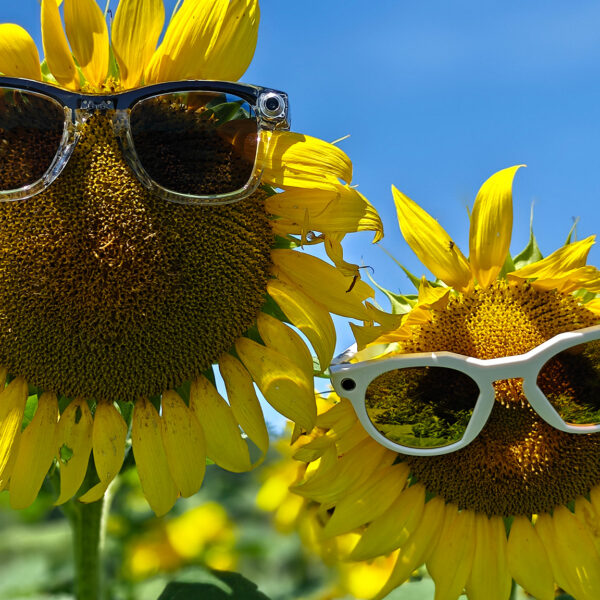 Oakley Meta HSTN camera review: Better than Ray-Ban&hellip;