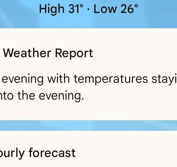 Pixel 8 phones can now get Google’s AI…