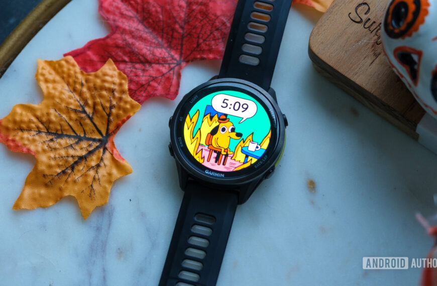 ನನ್ನ ನೆಚ್ಚಿನ ಗಾರ್ಮಿನ್ ವಾಚ್ ಫೇಸ್ ಸಹ ನನ್ನ ಉತ್ಸಾಹಭರಿತವಾಗಿದೆ