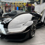 ವೈಲ್ಡ್ ಲೋಟಸ್ ಥಿಯರಿ ಒಂದು ಪರಿಕಲ್ಪನೆ “ವಾಸ್ತವದ ಕ್ಷೇತ್ರಗಳಲ್ಲಿ”