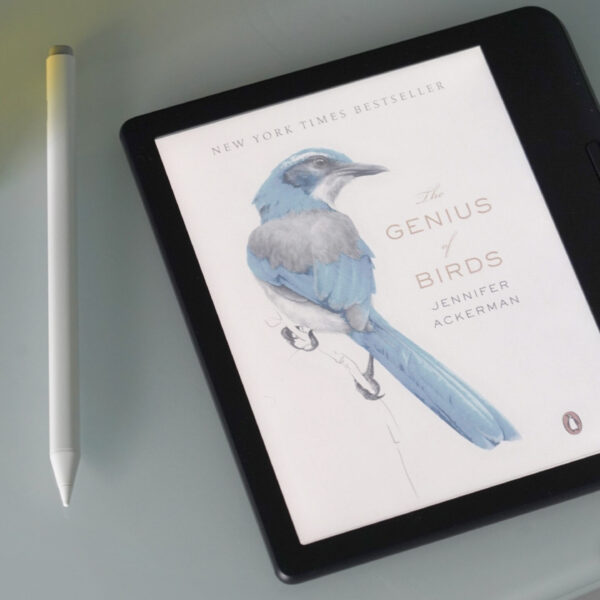 Done with Amazon Kindles? Here are 6 e-ink devices to buy instead