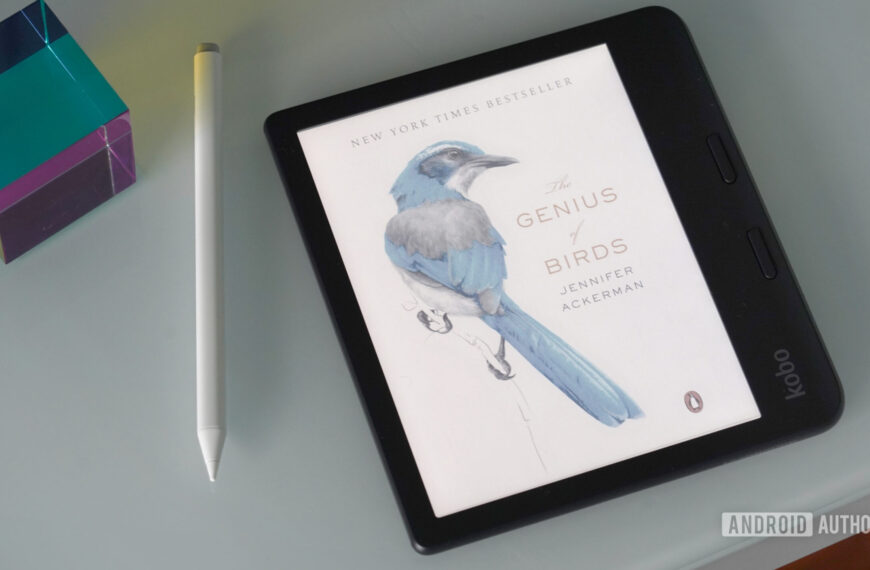 Do you want a color display…