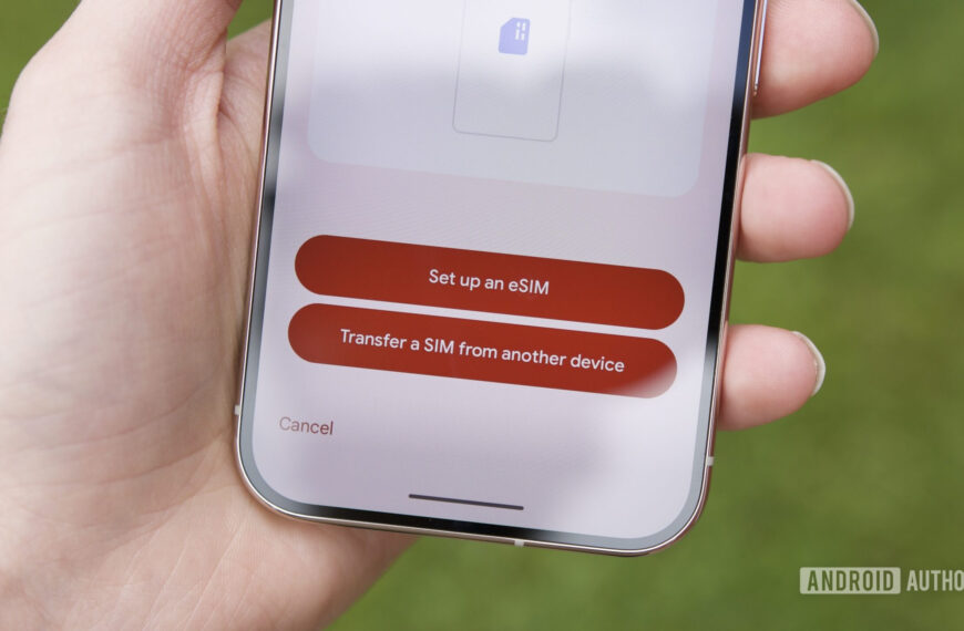 How I saved over $50 by ditching my carrier on my international trip