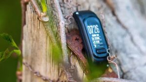 The Garmin Vivosmart 6 should arrive soon to…