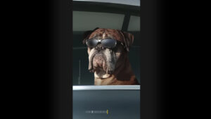 Official Galaxy S26 teaser videos are here, hinting&hellip;