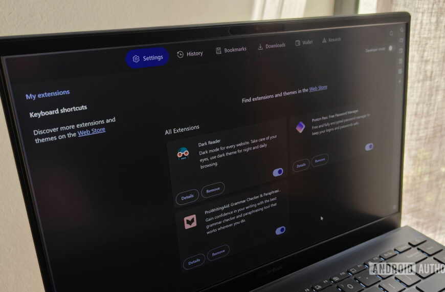 I limit my browser extensions, but these are my 4 essentials