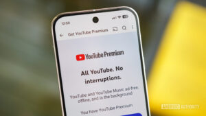 Why it’s time to stop the fight