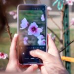 Fear not: Samsung is investigating the Galaxy S26 Ultra’s ‘blurry’ camera