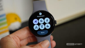 Pixel Watch bug is wiping out exercise steps&hellip;