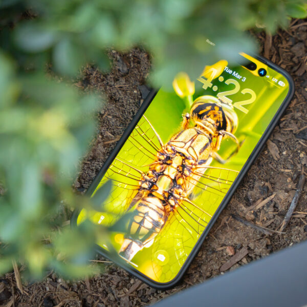 Wallpaper Wednesday: Android wallpapers 2026-03-04