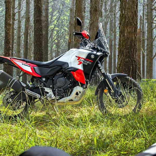 Yamaha 2026 Ténéré 700 World Raid Coming to the U.S.