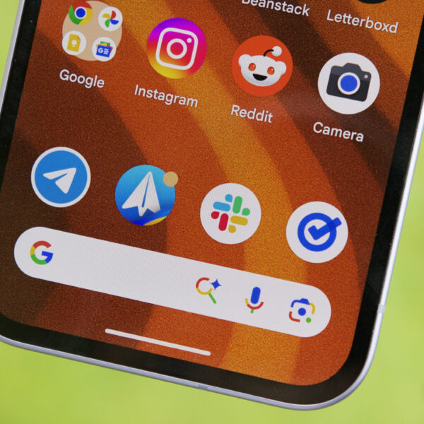 Pixel bug creates a minimalist search bar and some want to keep it