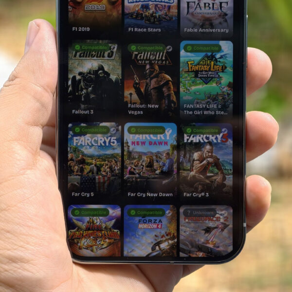 This promising PC game emulator just got support for Pixel 10