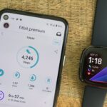 Fitbit Air leak points to a May launch and plenty of color options