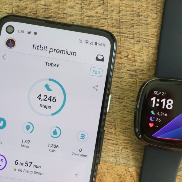 Fitbit Air leak points to a May launch and plenty of color options