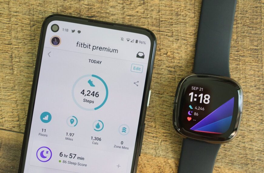 Fitbit Air leak points to a May launch and plenty of color options