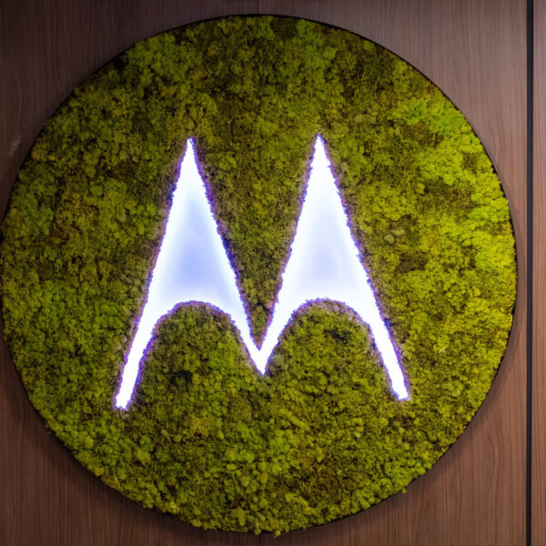 Moto Edge 70 Pro leaks in a few slick colorways